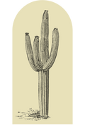 Desert Cactus Archway