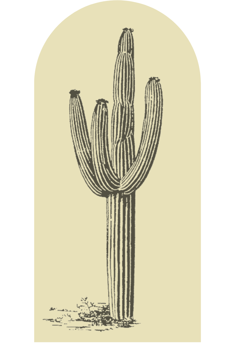 Desert Cactus Archway