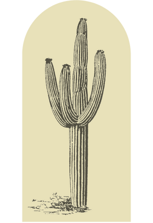 Desert Cactus Archway