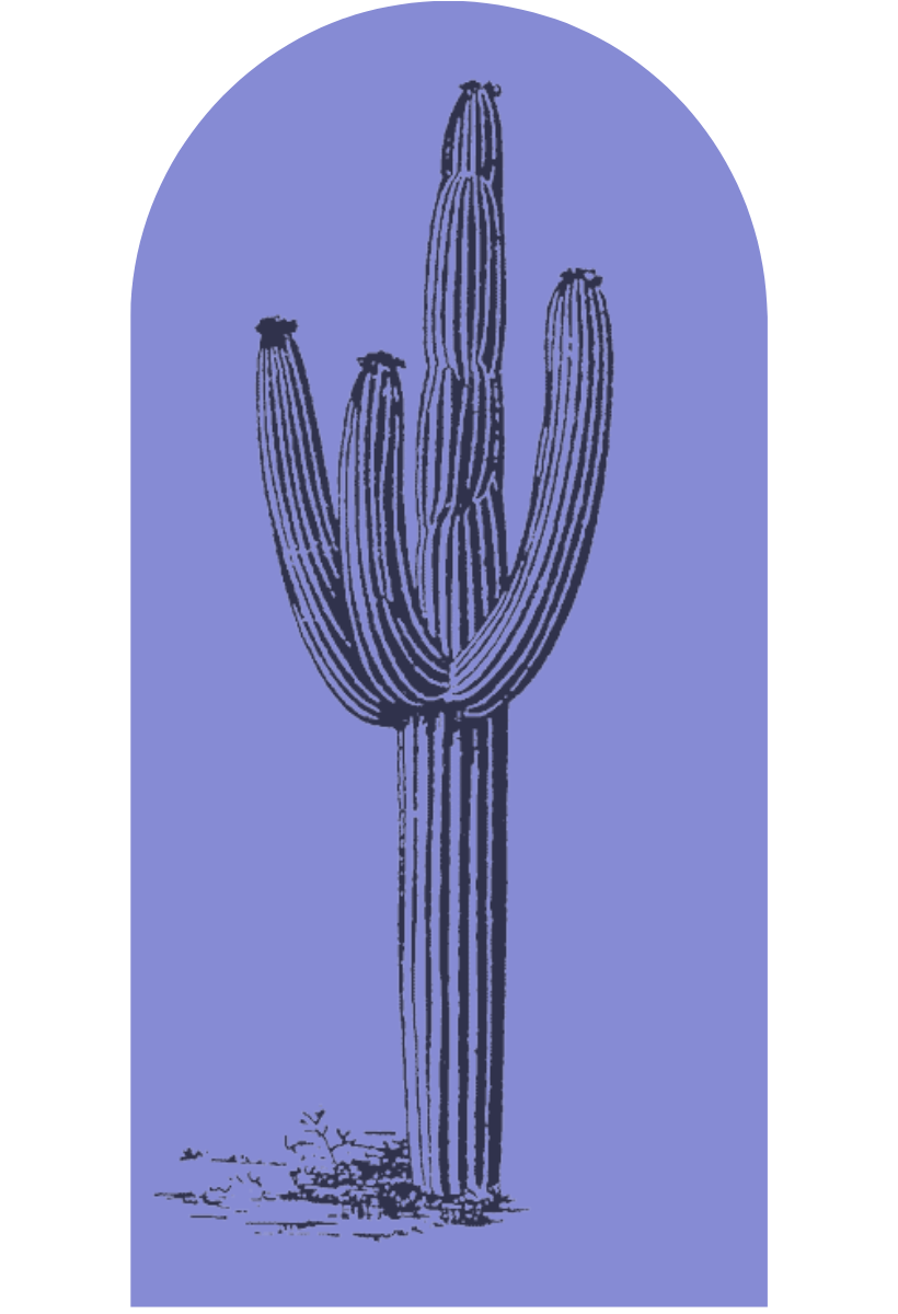 Desert Cactus Archway