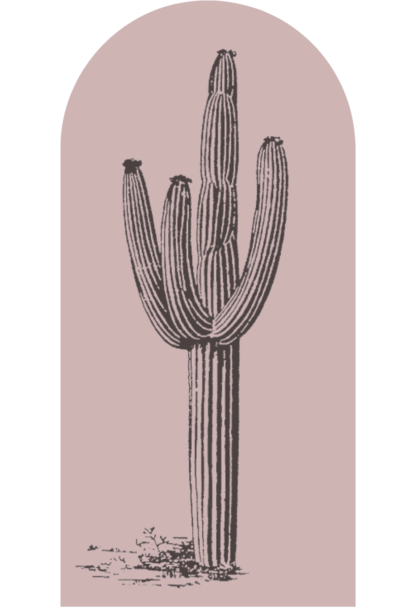 Desert Cactus Archway