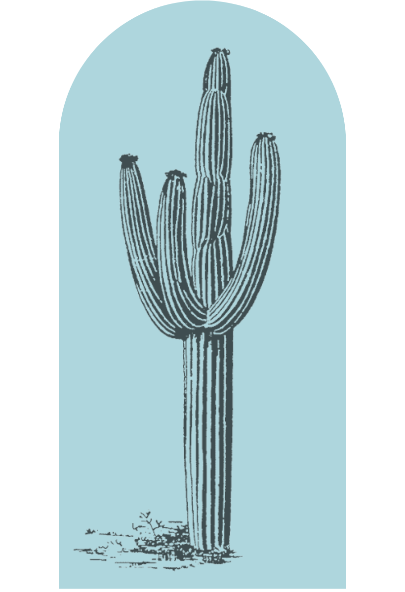 Desert Cactus Archway
