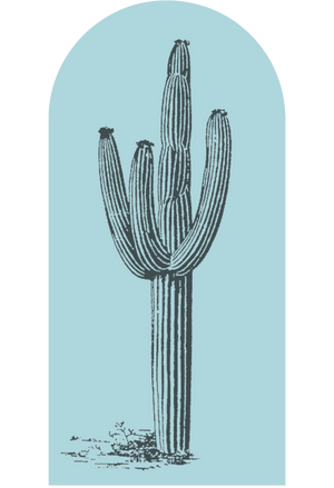Desert Cactus Archway