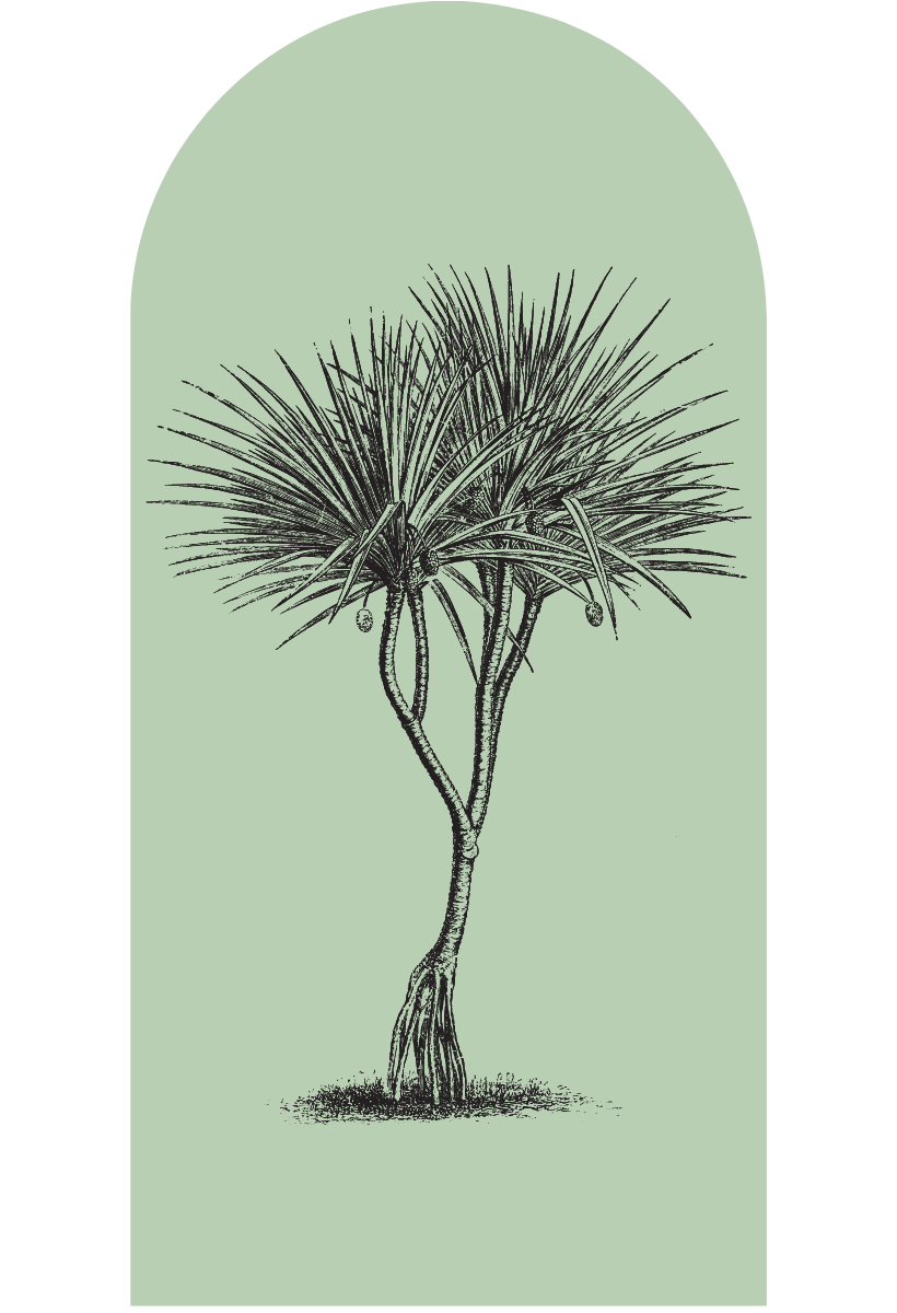 Pandanus High Tide