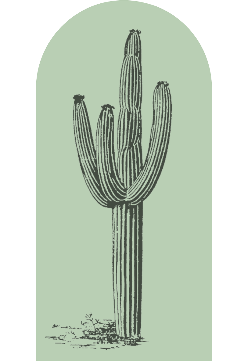 Desert Cactus Archway