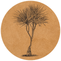 Sand Pandanus