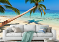Island Life