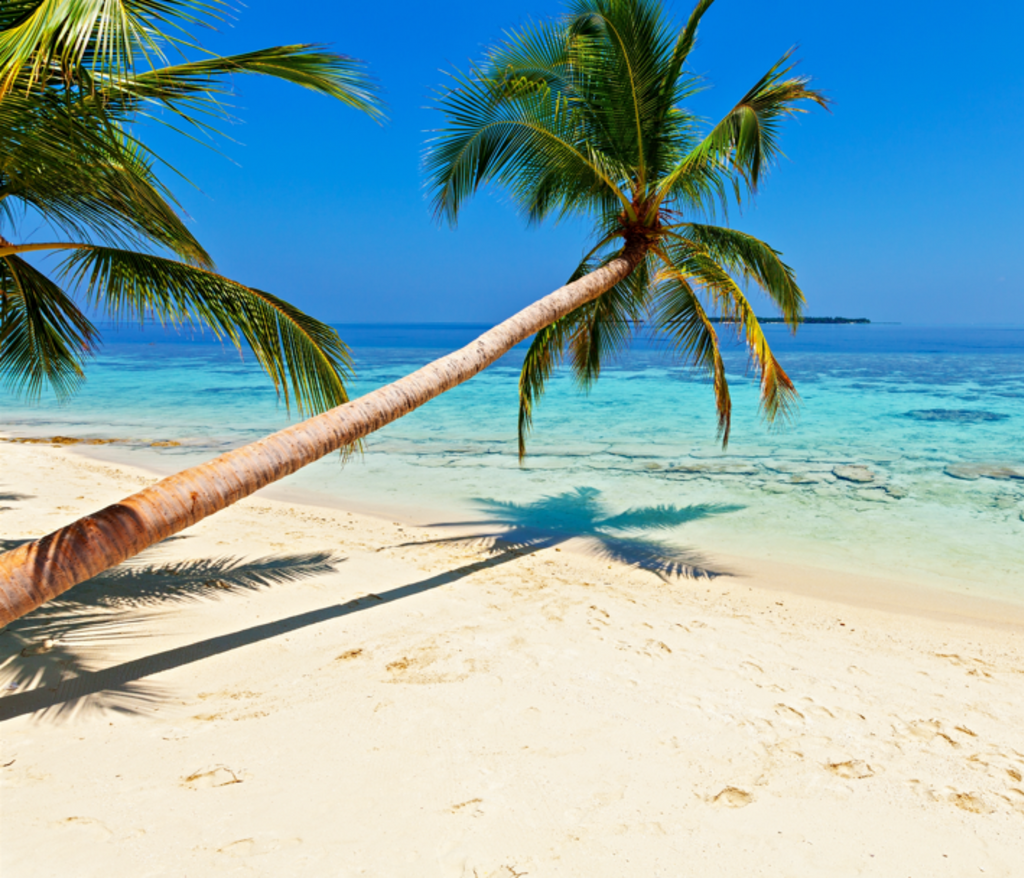 Island Life
